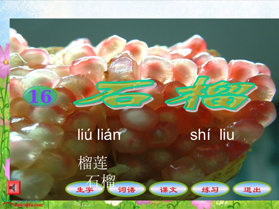 (苏教版)三年级语文上册课件_石榴_1_第1页