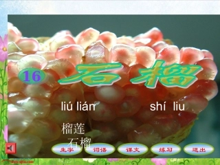 (苏教版)三年级语文上册课件_石榴_1