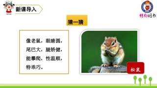 （2019秋）17松鼠 (2)