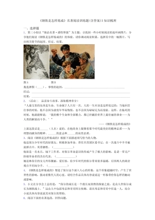 《钢铁是怎样炼成》名著阅读训练题(含答案)3知识梳理 