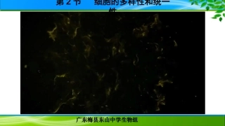 课件：细胞的多样性和统一性