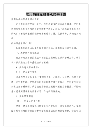实用的投标服务承诺书3篇