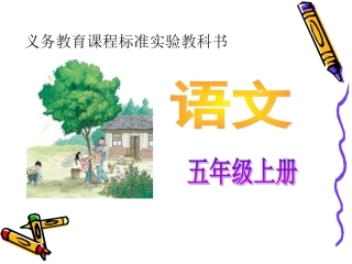桂花雨课件()
