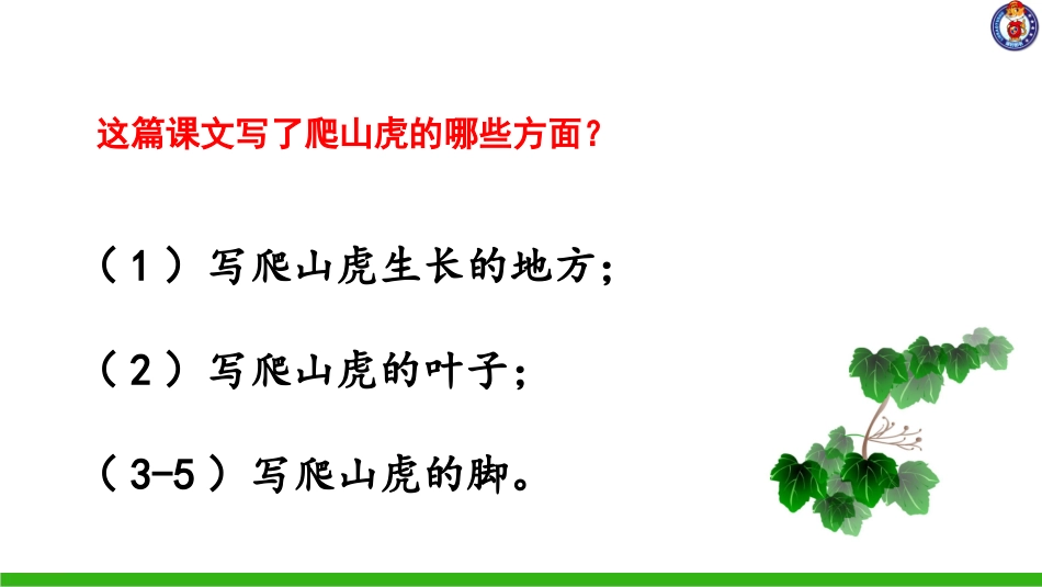 -爬山虎的脚（第课时） ()_第3页