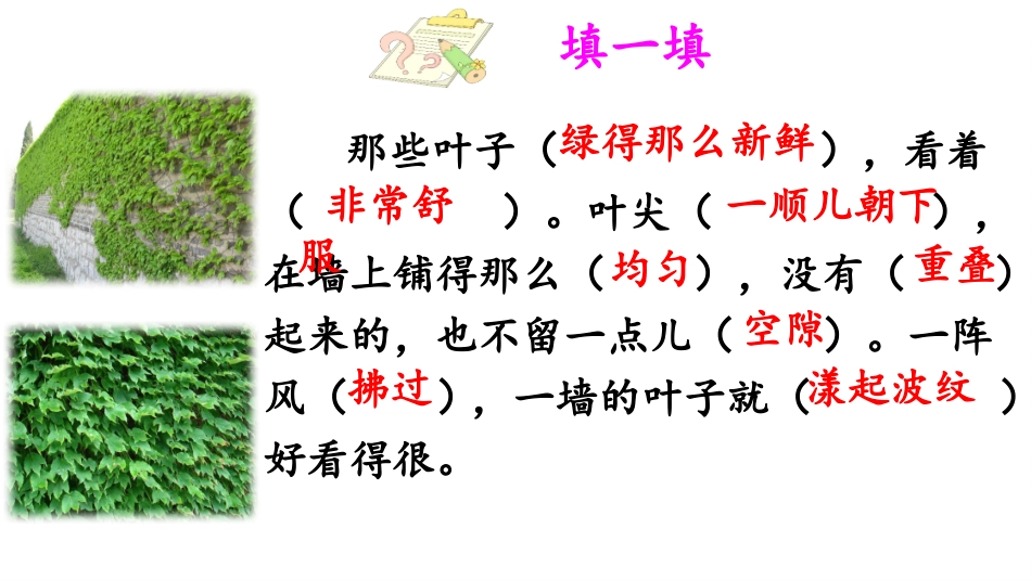 魏华-爬山虎的脚_第3页