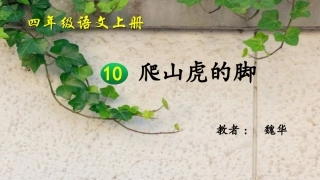 魏华-爬山虎的脚