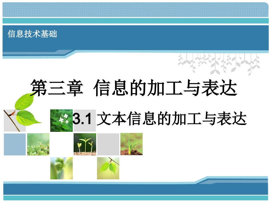 文本信息的加工与表达_第1页