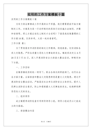 实用的工作方案模板十篇