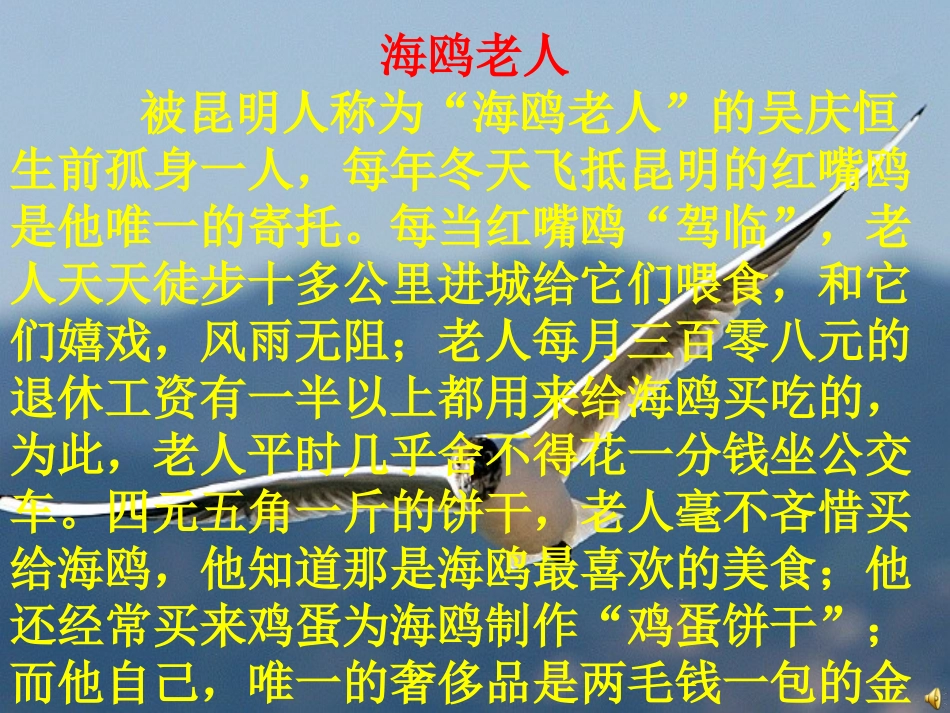 老人与海鸥-教学课件 ()_第1页