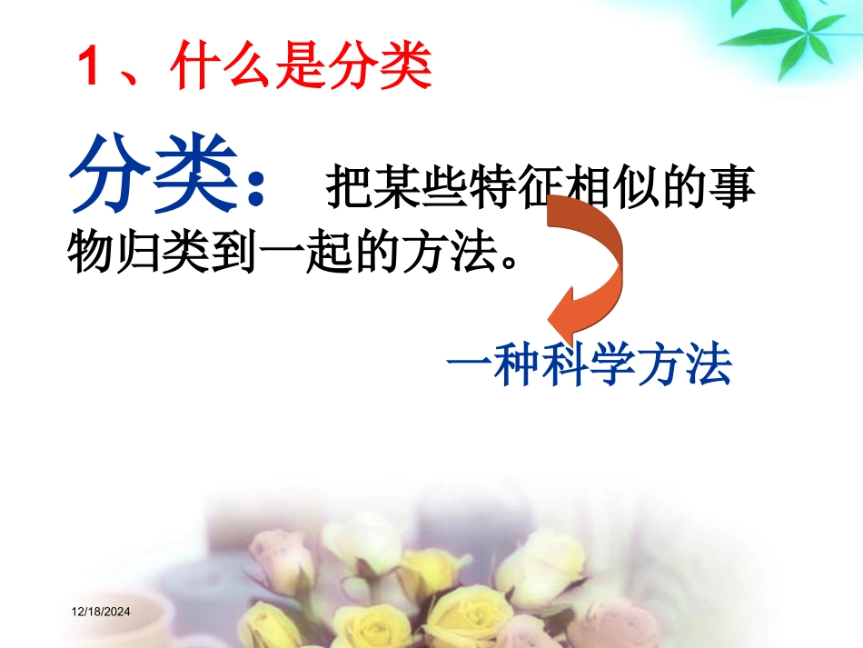 浙江人教版2020—2021学年第一学期高一第一册第一章第一节物质的分类（原创）26_第3页