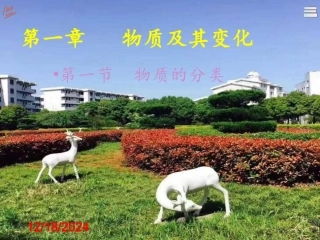 浙江人教版2020—2021学年第一学期高一第一册第一章第一节物质的分类（原创）26