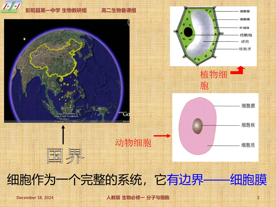 生物必修一课件231细胞膜------系统的边界_第2页