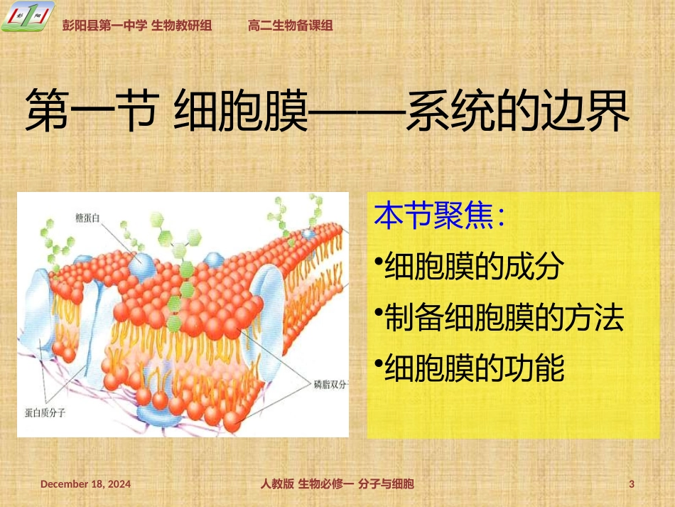 生物必修一课件231细胞膜------系统的边界_第3页