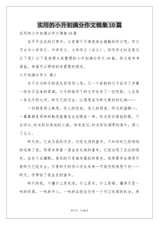 实用的小升初满分作文锦集10篇