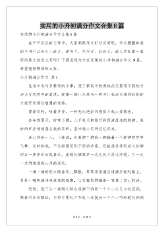 实用的小升初满分作文合集8篇