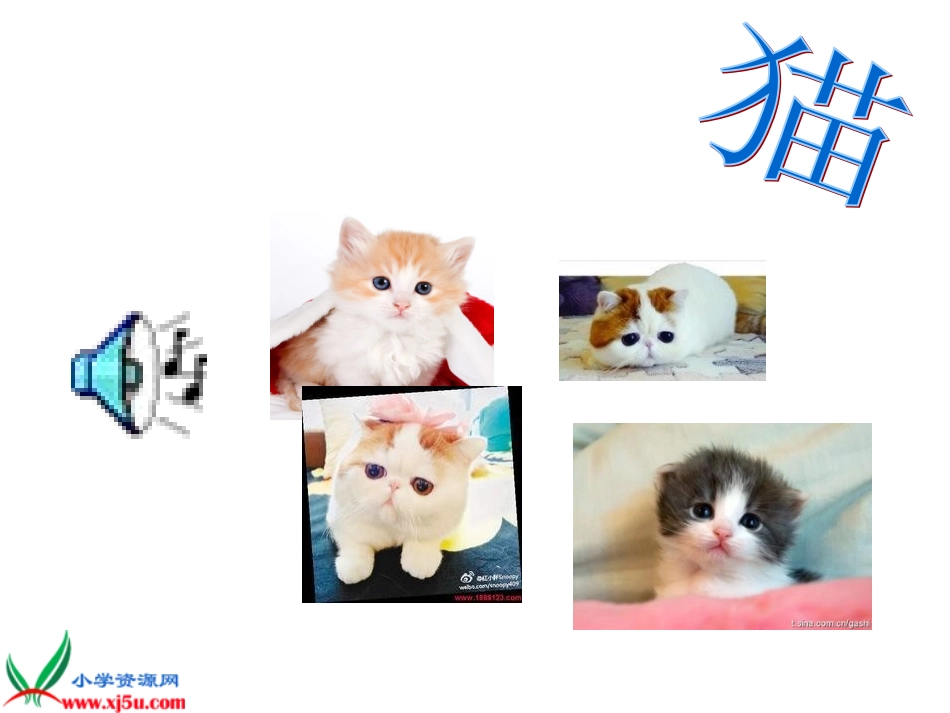 人教新课标四年级语文上册《蟋蟀的住宅-8》PPT课件_第3页