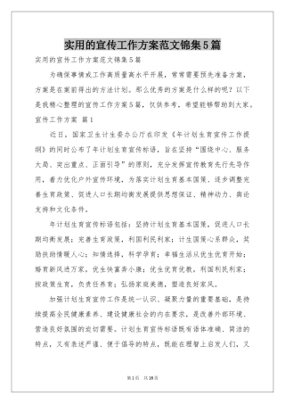 实用的宣传工作方案范本锦集5篇