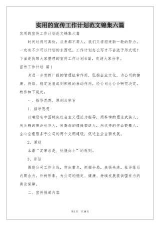 实用的宣传工作参考计划范本锦集六篇