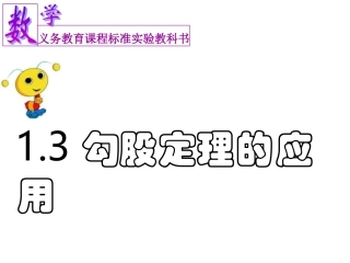 勾股定理的应用 (2)