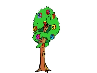 大班数学领域《车牌上的数字》