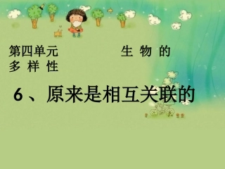 第六节__原来是相互关联的
