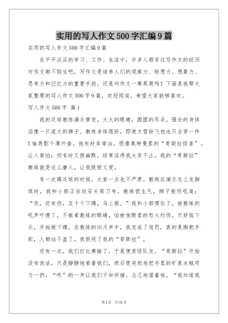实用的写人作文500字汇编9篇