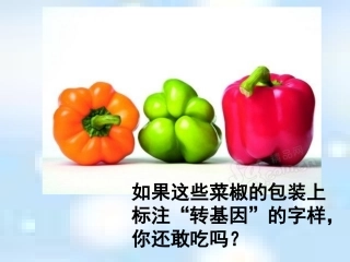转基因生物的安全性