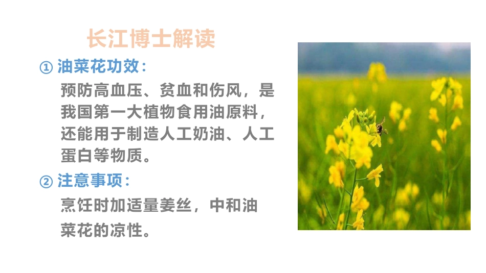 食疗宝典1：油菜花_第2页