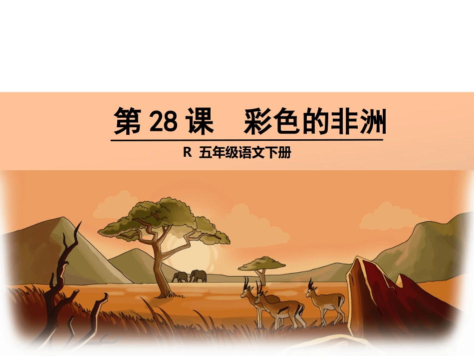 五年级语文下册28彩色的非洲（课件）_第1页
