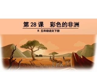 五年级语文下册28彩色的非洲（课件）