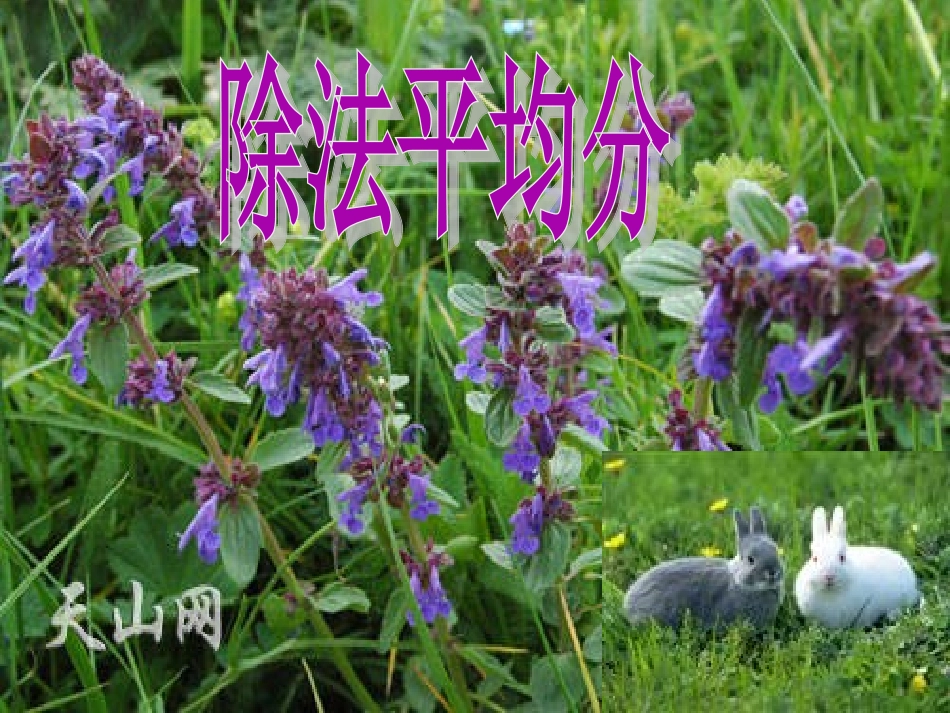 《表内除法平均分》PPT课件_第1页