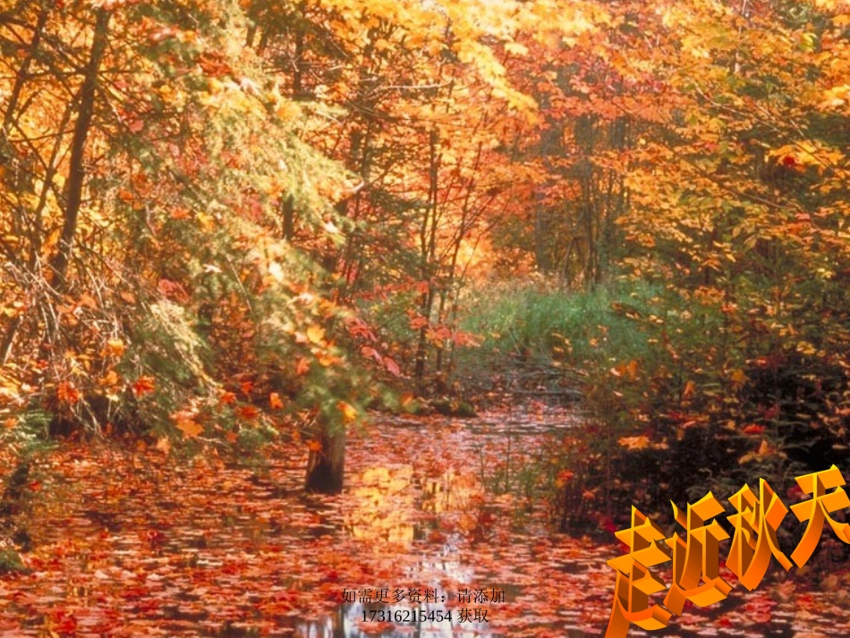 《故都的秋》课件1_第3页