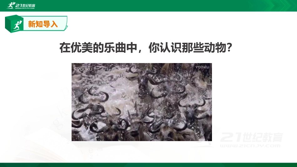 《给动物分类》课件_第2页