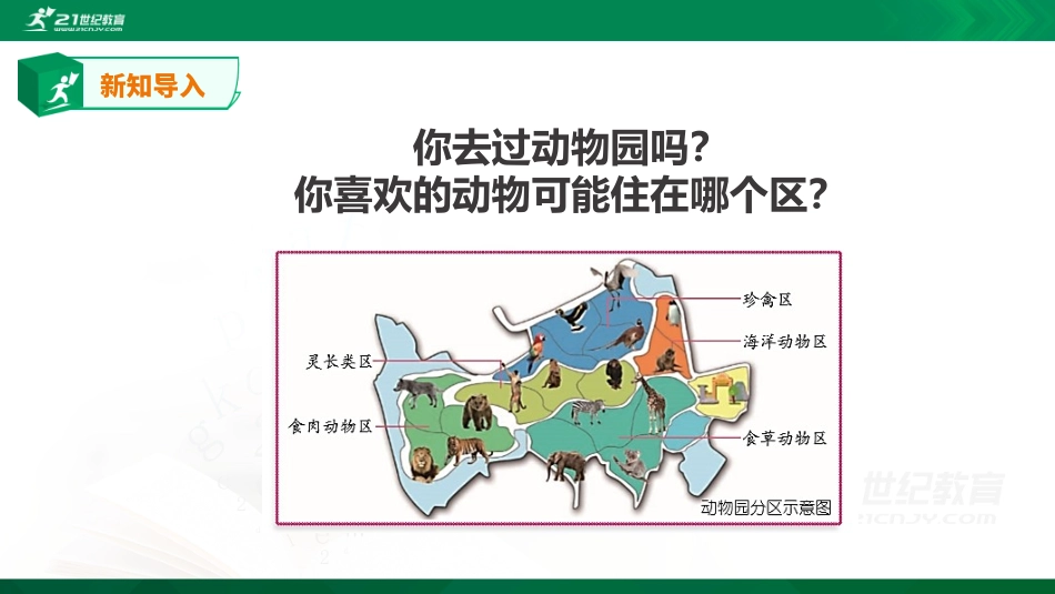 《给动物分类》课件_第3页