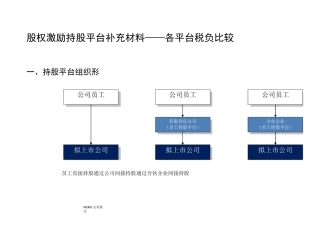 股权激励持股平台之各平台税负比较