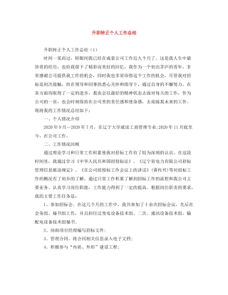 升职转正个人工作总结