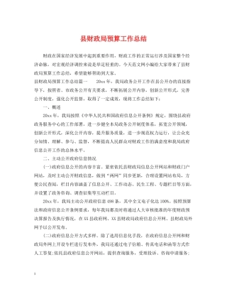县财政局预算工作总结