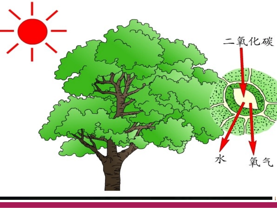 课题3制取氧气优质课（设计二）_第2页