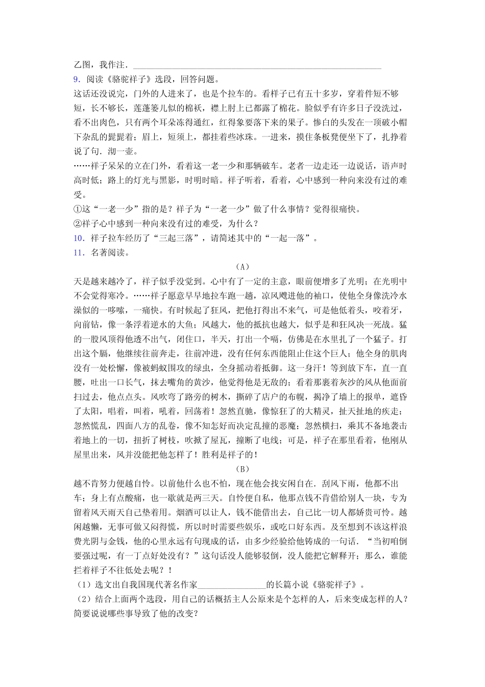 初一语文骆驼祥子名著阅读题综合培优提升卷及答案解析[001]_第3页