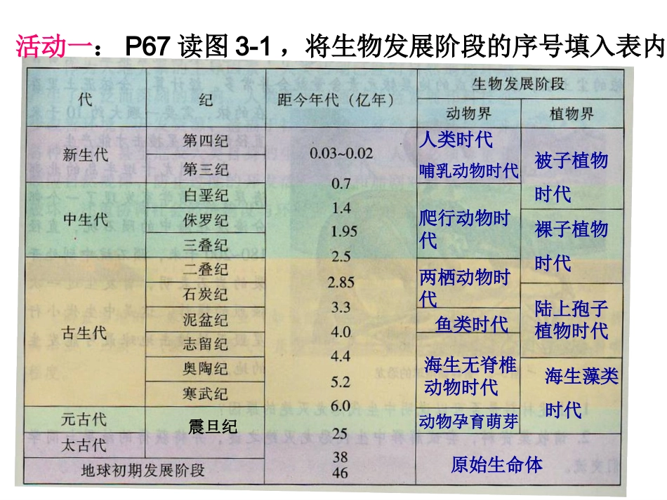 生物进化与环境变迁()_第3页