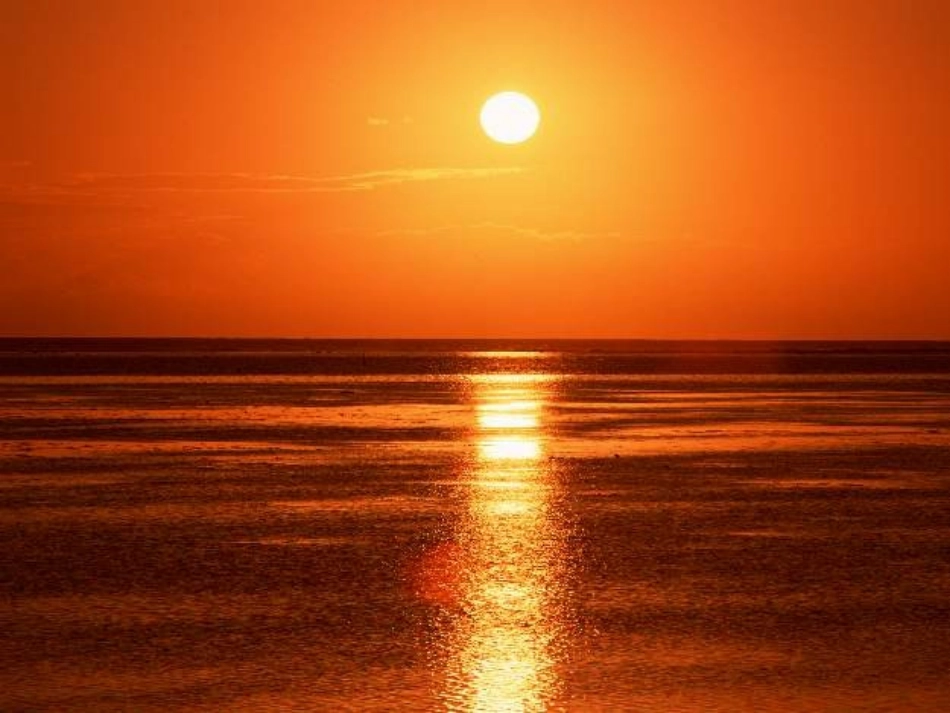 太阳是大家的_第1页