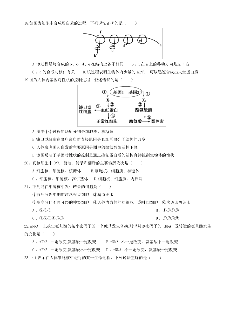 人教版高中生物必修二三四章试题 _第3页