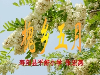 苏教版三下《槐乡五月》