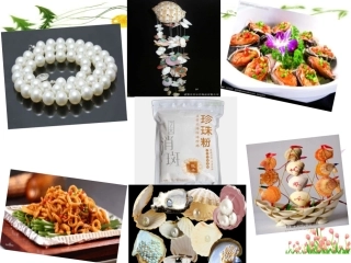 软体动物和节肢动物（2课时）