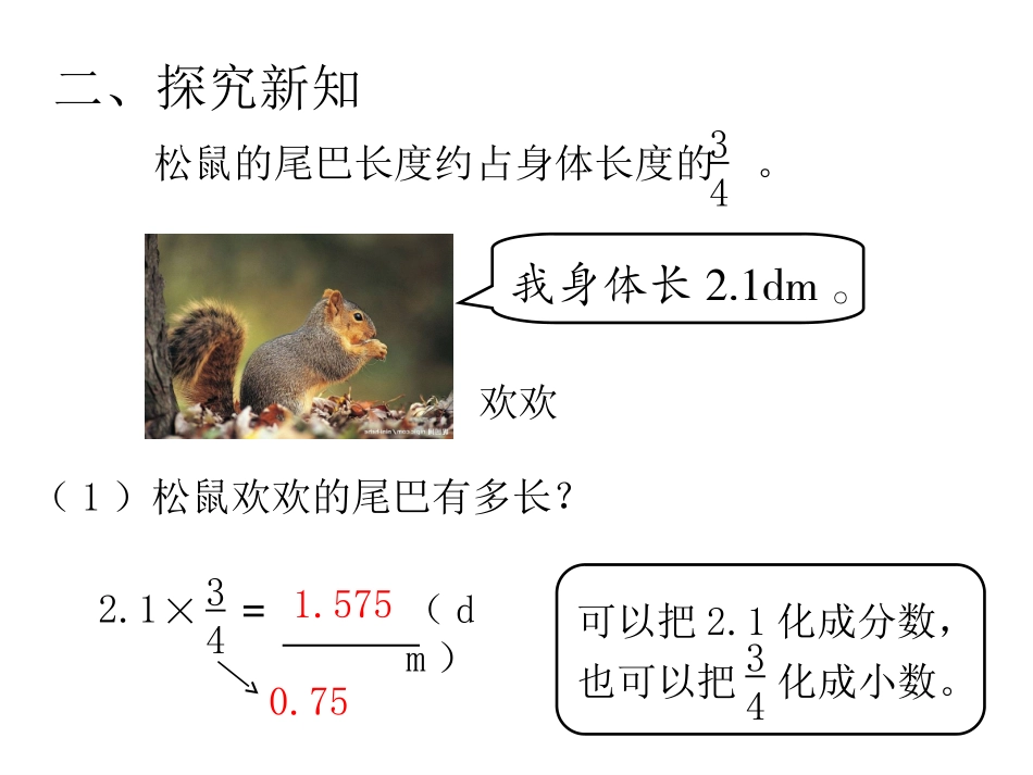 第5课时分数乘小数 (2)_第3页