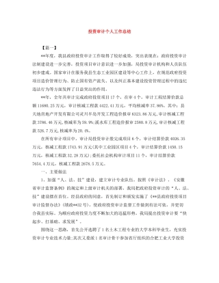 投资审计个人工作总结