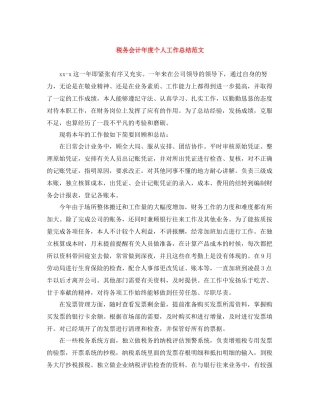 税务会计年度个人工作总结范文