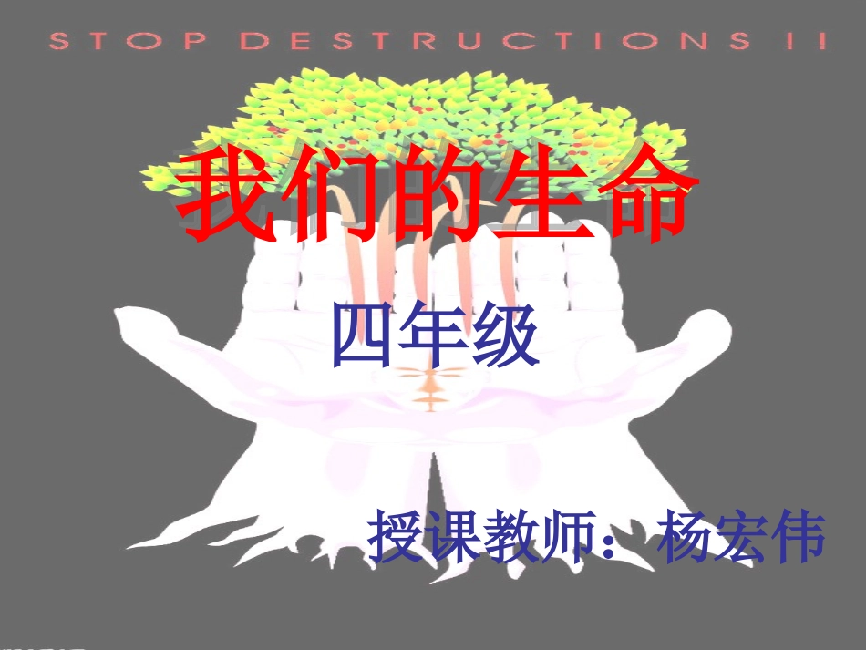 我们的生命课件_第1页