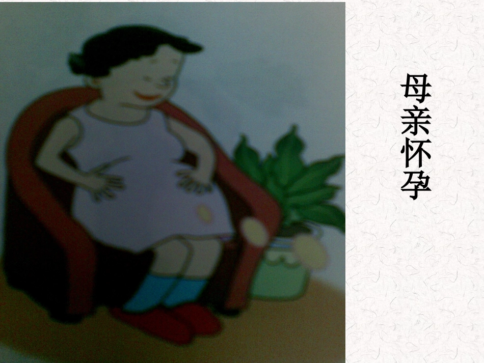 我们的生命课件_第2页