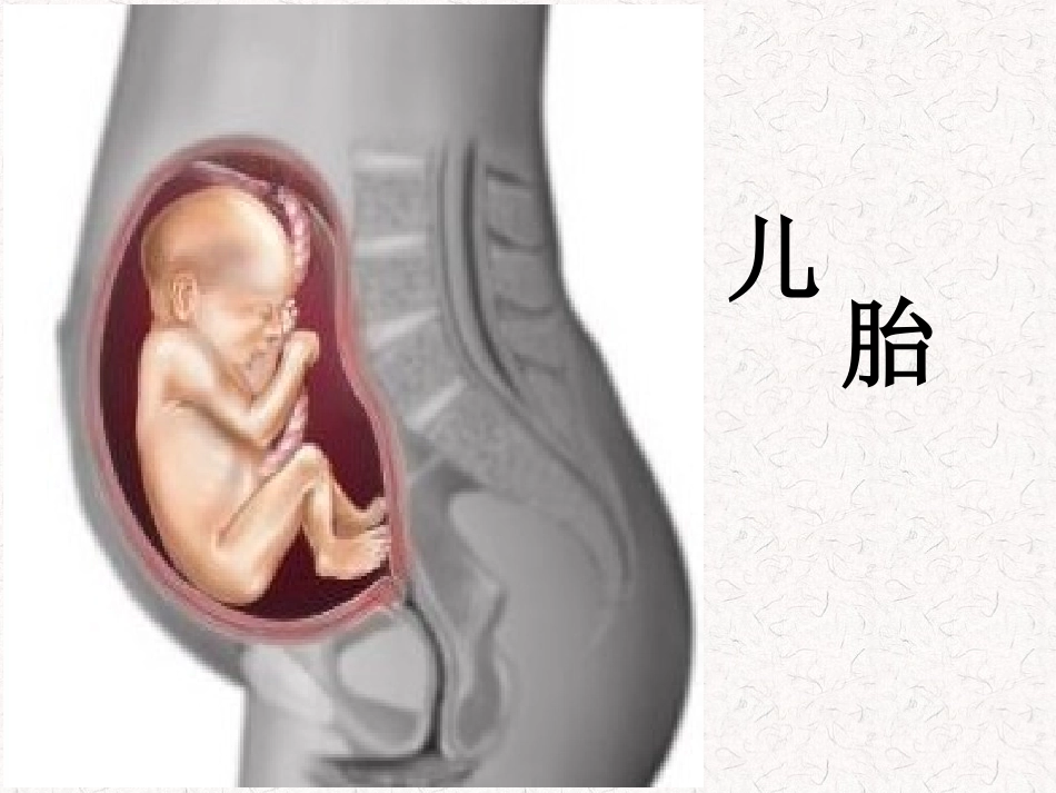 我们的生命课件_第3页